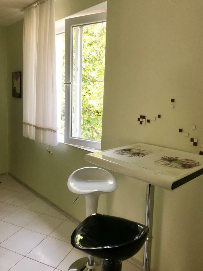 Helga Apartment ابزور المظهر الخارجي الصورة